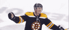 Boston Bruins Chris Wagner GIF - Boston Bruins Chris Wagner Bruins Goal GIFs