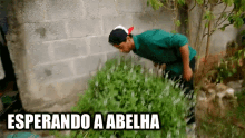 esperando olhando