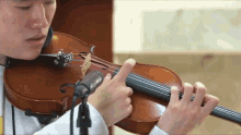 Strumming Violin GIF - Strumming Violin Playing GIFs