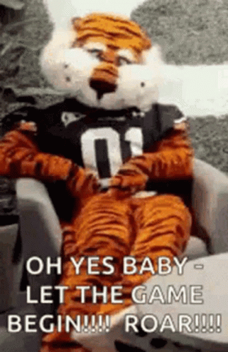 Oh Yes Baby Let The Game Begin GIF - Oh Yes Baby Let The Game Begin Tiger GIFs