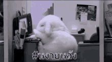 กระต่าย หงายหลัง ทำงาน GIF - Rabbit Tip Over Tipping Over GIFs
