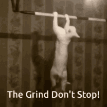 The Grind Dont Stop GIF - The Grind Dont Stop GIFs