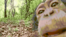 Monkey Licking Chimp Licking GIF - Monkey Licking Chimp Licking Monkey Camera GIFs