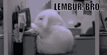 lembur kerja