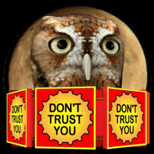i dont trust you do not trust you no confidence in you lack of trust no faith