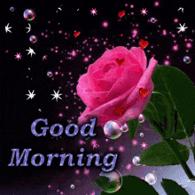 Good Morning Rose GIF - Good Morning Rose Sparkle GIFs