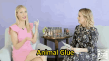 Animal Glue Gwyneth Paltrow GIF - Animal Glue Gwyneth Paltrow Health GIFs