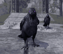 Crow Friend Blackfeather Court GIF - Crow Friend Blackfeather Court Duke Of Crows GIFs