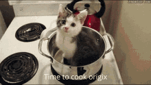 Origix Time To Cook Origix GIF - Origix Time To Cook Origix Cat Cooking GIFs
