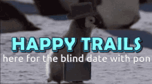 trails squad