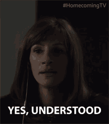 Yes Understood Julia Roberts GIF - Yes Understood Julia Roberts Heidi Bergman GIFs