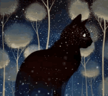 Black Cat GIF - Black Cat GIFs