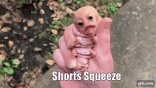shorts-squeeze-shorties.gif