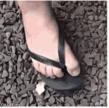 Slipper Foot GIF - Slipper Foot Silly GIFs
