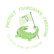 protect floridians freedom to vote how we choose vrl floridians fl florida votes