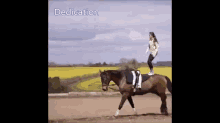 :) GIF - Horse Balance Stand GIFs