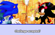 Sonic The Hedgehog Challenge Accepted GIF - Sonic The Hedgehog Challenge Accepted Shadow The Hedgehog GIFs