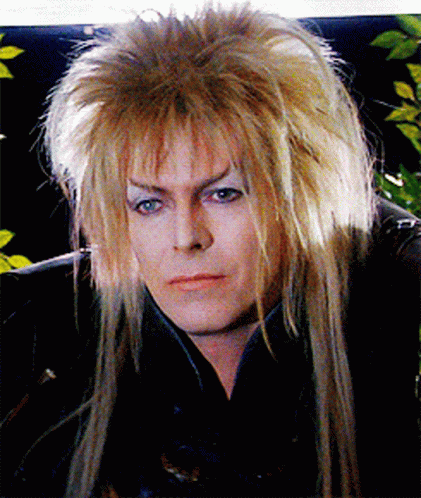 Jareth The Goblin King David Bowie GIF - Jareth The Goblin King David Bowie Smirk GIFs