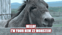 Zed Zedrun GIF - Zed Zedrun Donkey GIFs