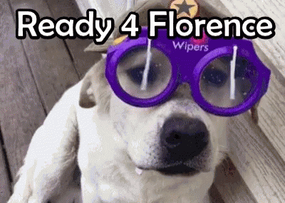 Florence Storm GIF - Florence Storm Dogs GIFs