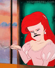 ariel derp