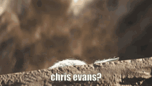 Chris Evans Baby Yoda GIF - Chris Evans Chris Evans GIFs