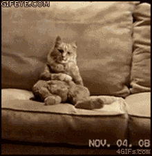 Dancing Cat GIF - Dancing Cat Stand Up GIFs
