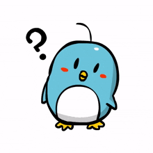 animal penguin