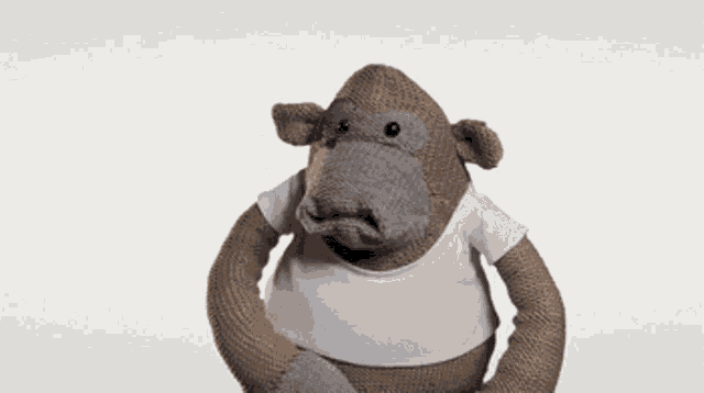 Monkey Puppet Sidekick Monkey GIF - Monkey Puppet Monkey Sidekick Monkey GIFs