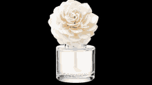 Fragrance Flower Mp4 Beautiful Scent GIF - Fragrance Flower Mp4 Beautiful Scent Scent GIFs