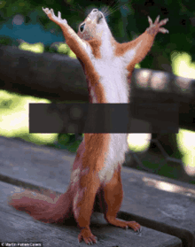 %D9%8A%D8%B9%D8%AF%D9%85%D9%86%D9%8A%D9%8A%D8%A7%D9%83 squirrel %D9%8A%D8%B9%D8%AF%D9%85%D9%86%D9%8A%D9%8A%D8%A7%D9%83 squirrel