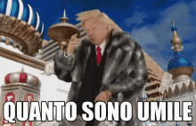 umile umilt%C3%A0 quanta umilt%C3%A0 come sei umile come sono umile umile umilt%C3%A0 quanta umilt%C3%A0 come sei umile come sono umile