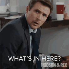 Whats In Here Charlie Hudson GIF - Whats In Here Charlie Hudson Hudson And Rex GIFs