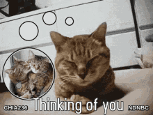 Thinking Of You Missing You GIF - Thinking Of You Missing You Needing You GIFs