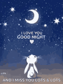 Good Night Bunny GIF - Good Night Bunny Watching Moon GIFs