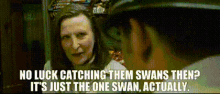 No Luck Catching Them Swans Hot Fuzz GIF - No Luck Catching Them Swans Hot Fuzz GIFs