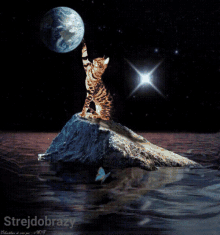 Strejdobrazy Cat GIF - Strejdobrazy Cat Earth GIFs