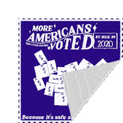 More Americans Voted By Mail In2020 Because Its Safe And Common Sense Sticker - More Americans Voted By Mail In2020 Because Its Safe And Common Sense Usps Stickers