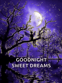 goodnight sweet dreams majestic fairy moon glitter goodnight sweet dreams majestic fairy moon glitter