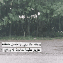 Stay Away Rain GIF - Stay Away Rain Wet GIFs