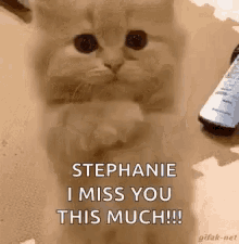 Miss You Stephanie Kitten GIF - Miss You Stephanie Kitten Love GIFs