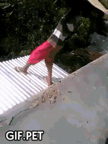 gif fall