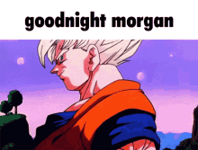 Goodnight Morgan GIF - Goodnight Morgan Dragonball Z GIFs