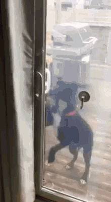princess opening the door