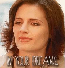 You Wish GIF - You Wish In Your Dreams Castle GIFs