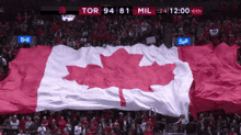 Canada Canadian Flag GIF - Canada Canadian Flag Toronto Raptors GIFs