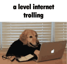 A Level Trolling GIF - A Level Trolling Internet Trolling GIFs