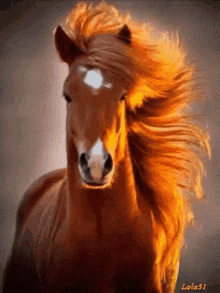 Stay Cool Hair GIF - Stay Cool Hair Horse GIFs