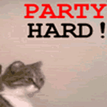 Headbang Cat GIF - Headbang Cat Party Hard GIFs