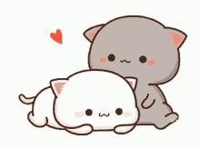 Cute Cat GIF - Cute Cat Love GIFs